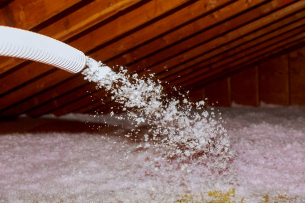 Best Energy Efficiency Insulation in Maunawili, HI