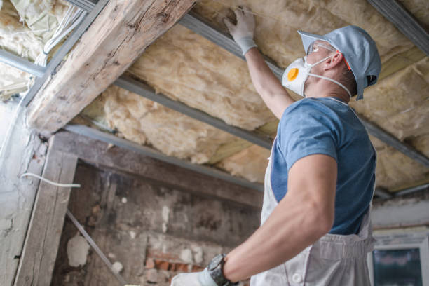 Best Spray Foam Insulation in Maunawili, HI