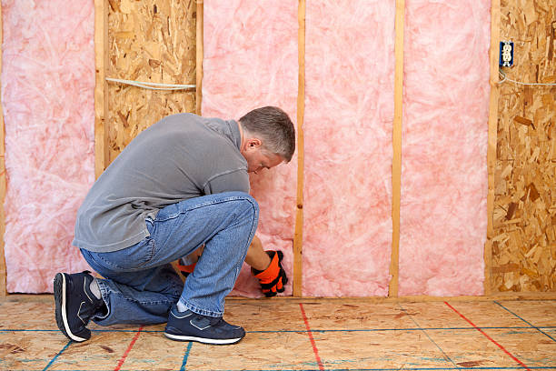 Best Eco-Friendly Insulation in Maunawili, HI