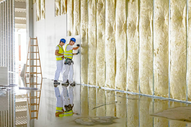 Types of Insulation We Offer in Maunawili, HI